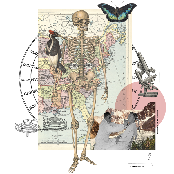 FWO Kennismakers cover