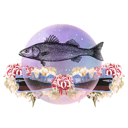 Mijn job als ... (met Jolien Goossens)