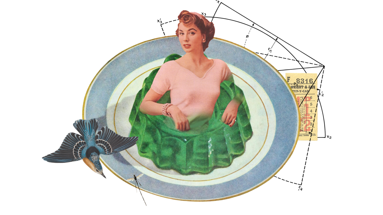 Kennismakers Thema 6: Door de maag