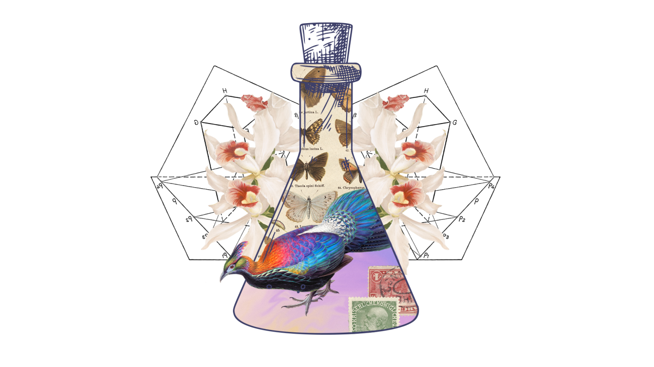 Thema 8 dierenproeven