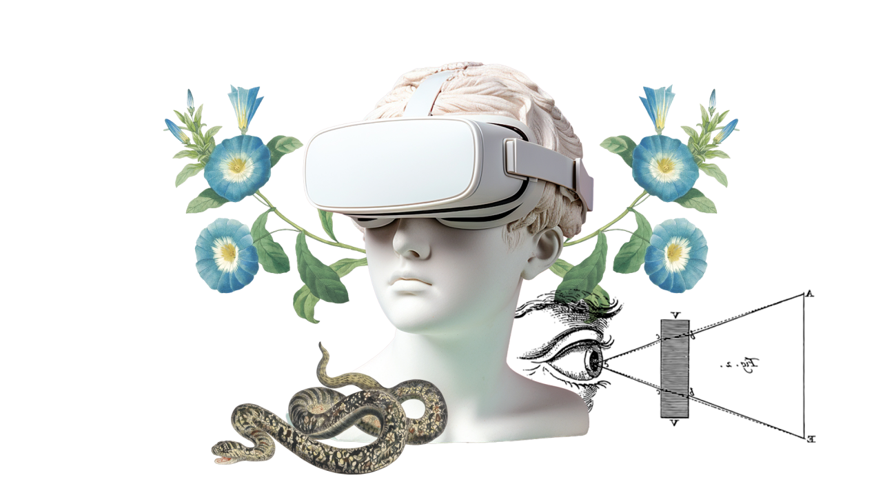 Kennismakers 9 - Weetjes