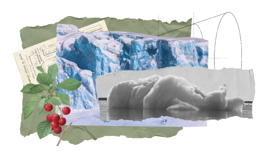 Speeddate - McKinsey-prijs 2025